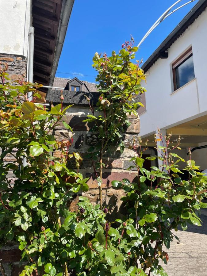 Altes Weingut Broehl Hotel Hatzenport Buitenkant foto